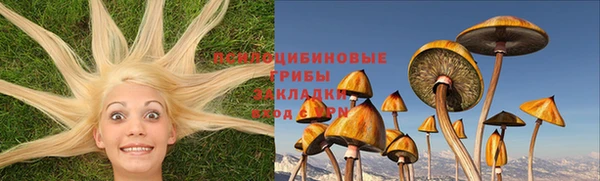 spice Вязники