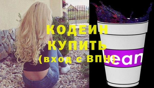 прущий лед Вяземский
