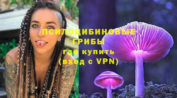 spice Вязники