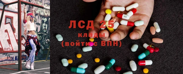 прущий лед Вяземский