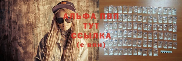 прущий лед Вяземский