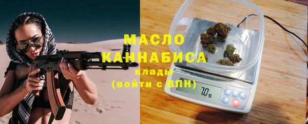прущий лед Вяземский