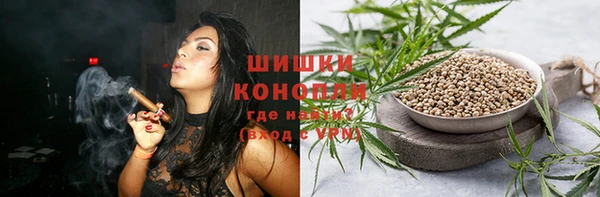 прущий лед Вяземский