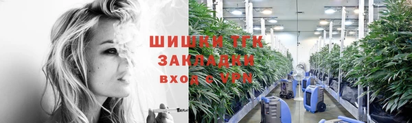 прущий лед Вяземский