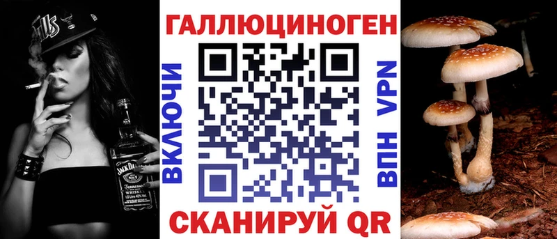 Купить где  Кирсанов  Псилоцибиновые грибы Psilocybine cubensis 